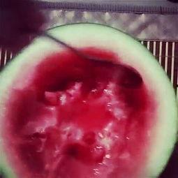 琉璃看吃瓜,揭秘娱乐圈幕后故事