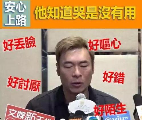 吃瓜大会会长,揭秘娱乐圈幕后风云