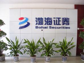 渤海证券吃瓜,揭秘金融圈幕后风云”