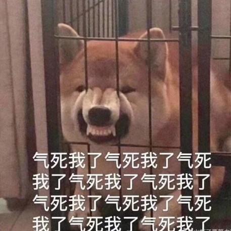 吃瓜娃子呦,揭秘娱乐圈那些不为人知的幕后故事