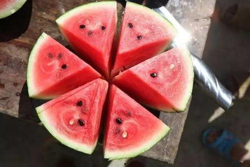 吃瓜是吃西瓜吗还是东瓜,吃瓜究竟是指西瓜还是东瓜？