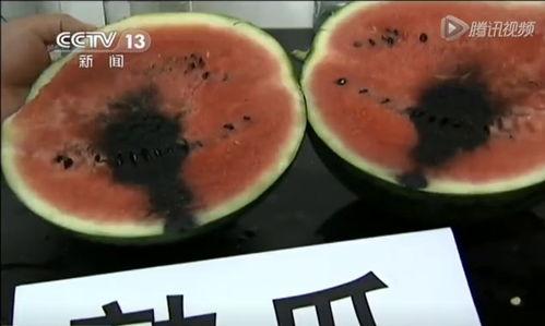 图文吃瓜视频,一场视觉盛宴与信息狂欢